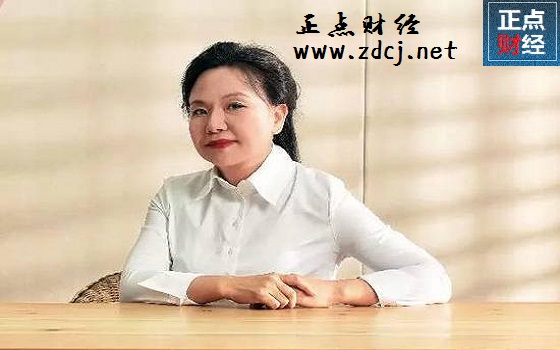 东方园林股票怎么样?东方园林股票分析_正点